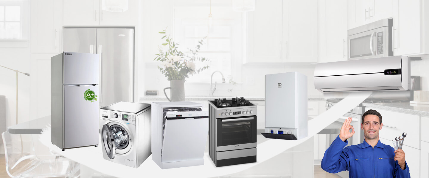 Karaisalı Electrolux Servisi